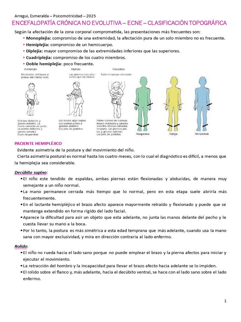 ECNE Clasificación Topográfica | PDF | Sistema musculoesquelético ...