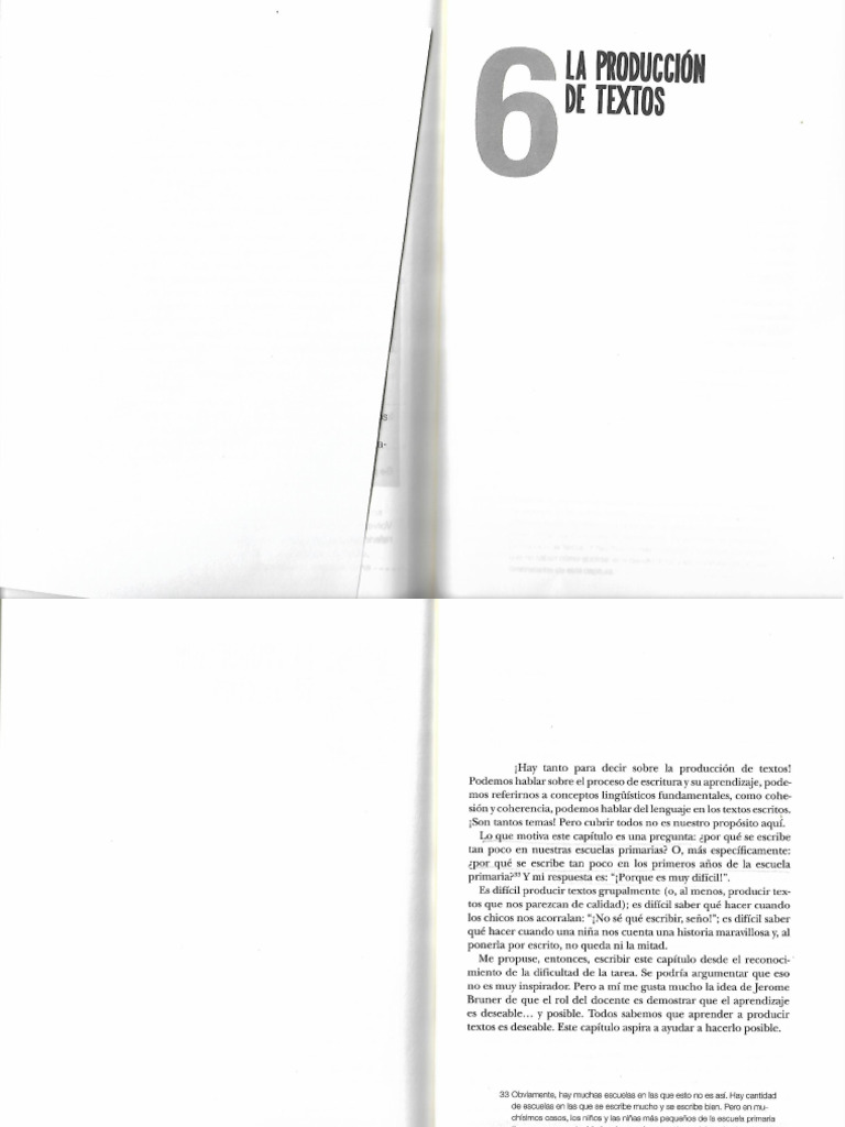 !Diuk 2023_La Producción de Textos | PDF