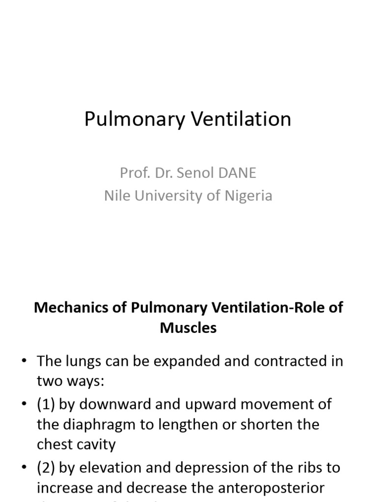 Pulmonary Ventilation | PDF | Respiratory System | Lung