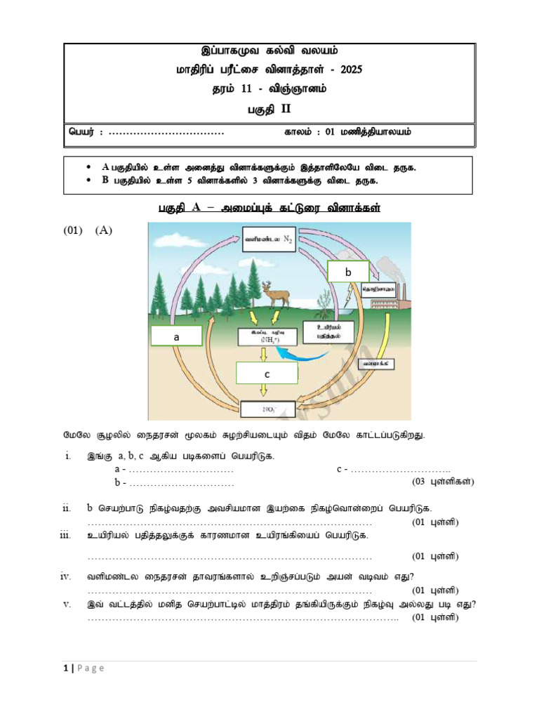 Science Model Paper Part 2 Ibbagamuwa | PDF