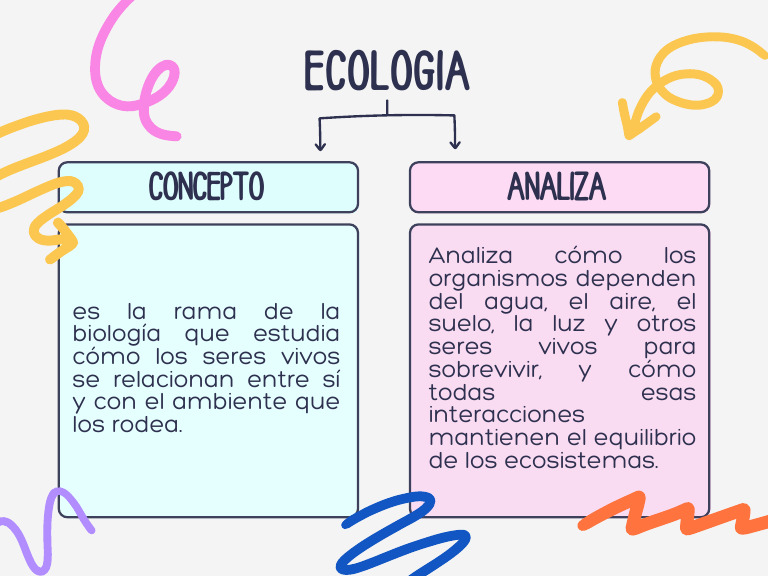 Concepto de Ecologia | PDF