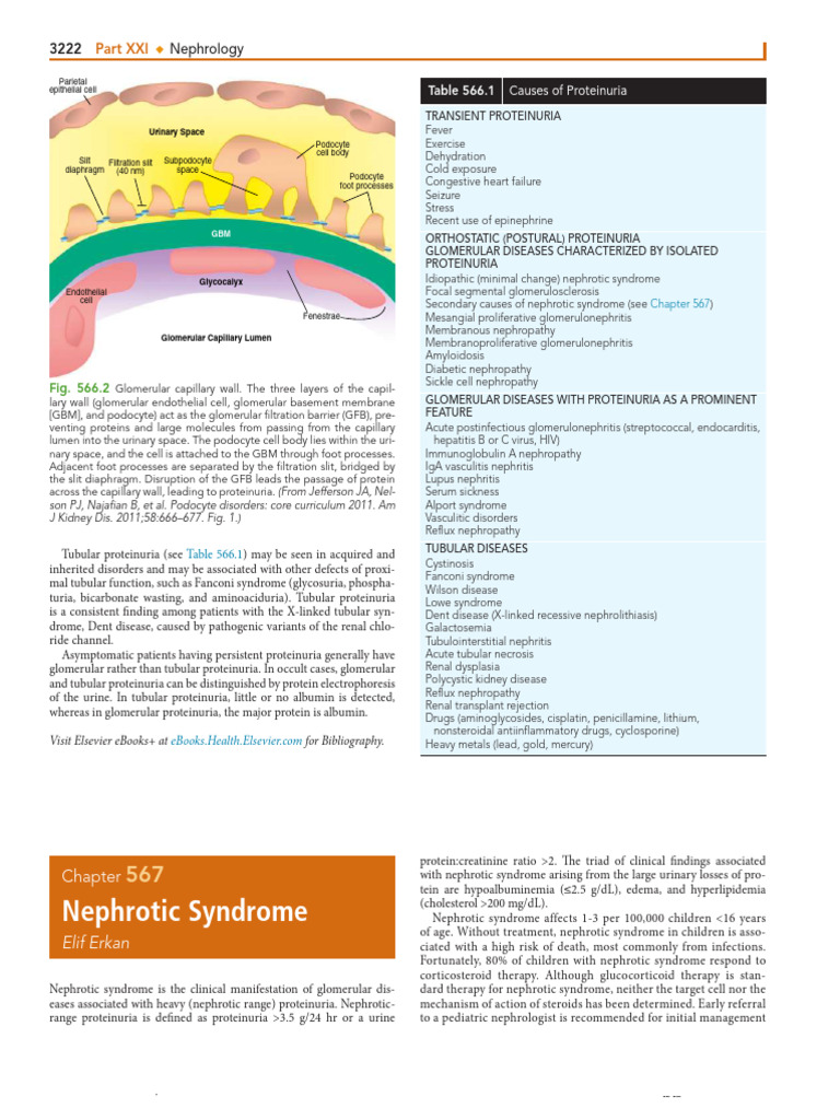 567 Nephrotic Syndrome | PDF | Urinary System | Nephrology