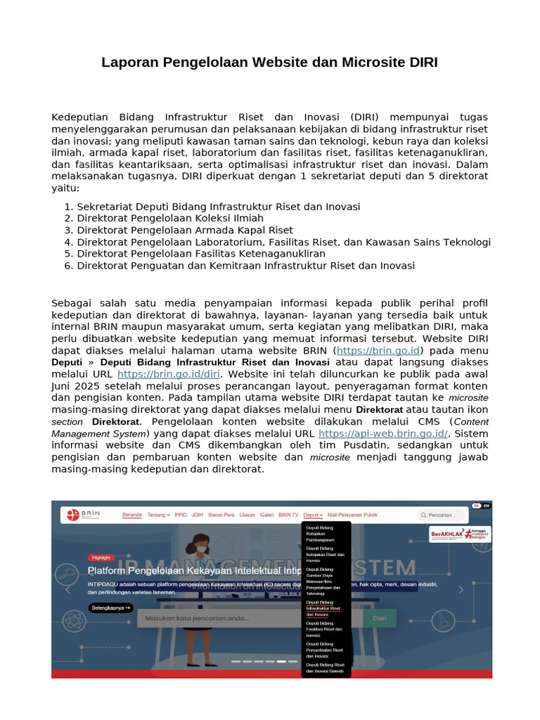 Laporan Pengelolaan Website Dan Microsite DIRI | PDF