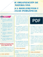 Sem 2 - Niveles de Organización de La Materia Bio IU