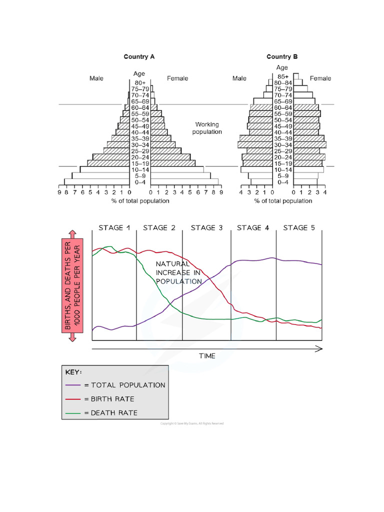 DTM and Pop Structure Pic | PDF