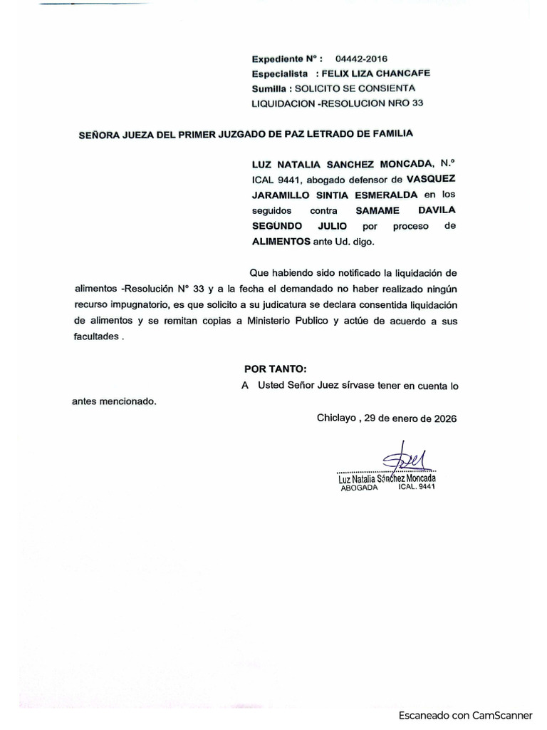 Solicito Se Consienta Liquidación Vasquez Jaramillo | PDF