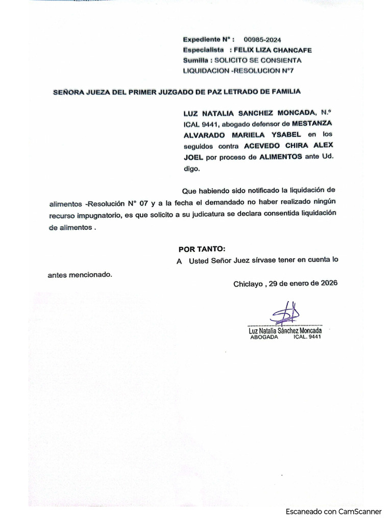Solicito Se Consienta Liquidación Mestanza Alvarado | PDF