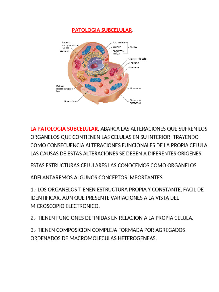 Patologia Subcelular | PDF | Retículo endoplásmico | Mitocondria