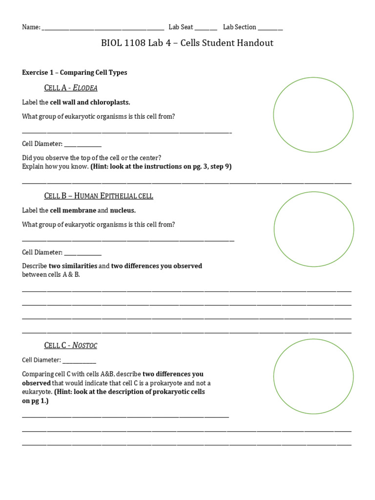 Fall 24 1108 Lab 4 Cells Student Handout | PDF | Cell (Biology ...
