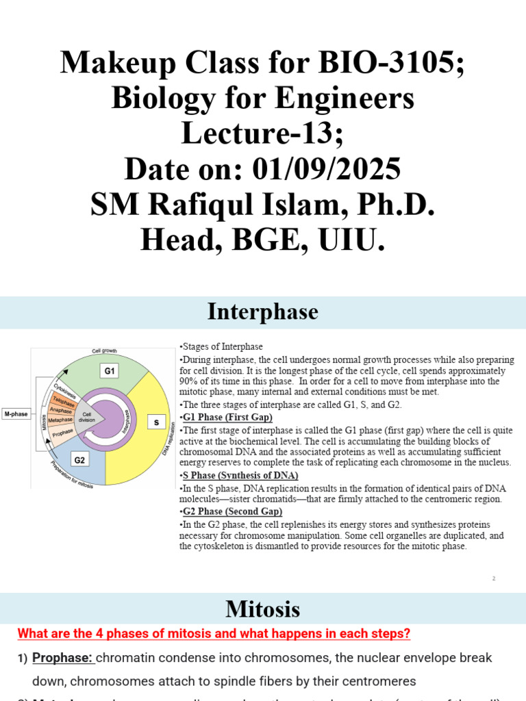 01.09.25-Makeup Class For BIO-3105 - Lect | PDF | Mitosis | Meiosis