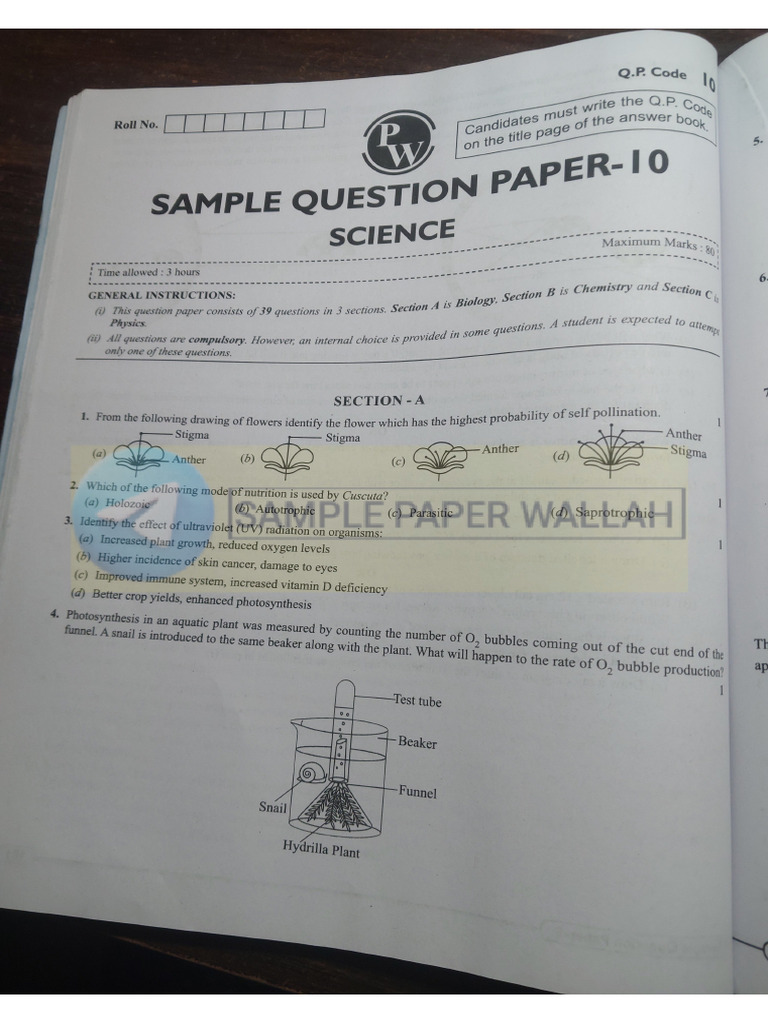 Sample Paper 10. - Watermark | PDF