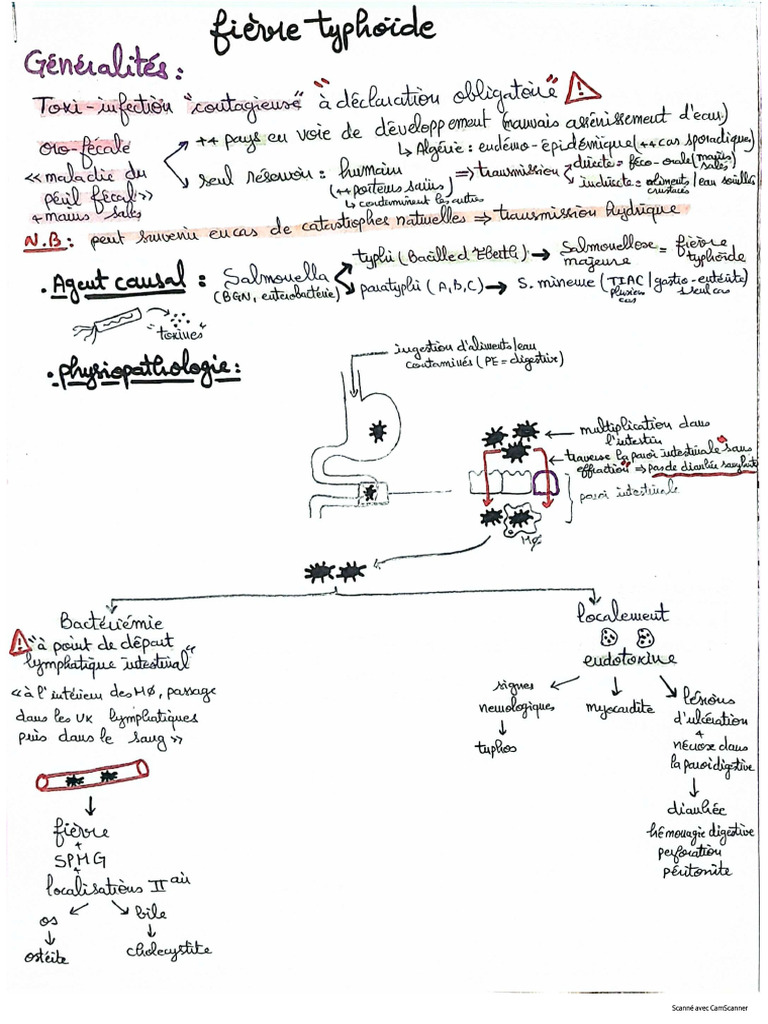 Fièvre Typhoide Résumé | PDF