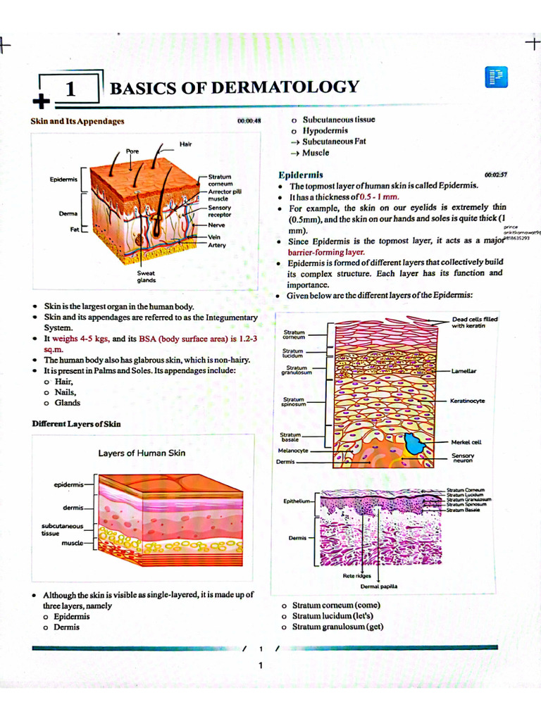 Derma Ed 5 @nextprepladdernotes | PDF