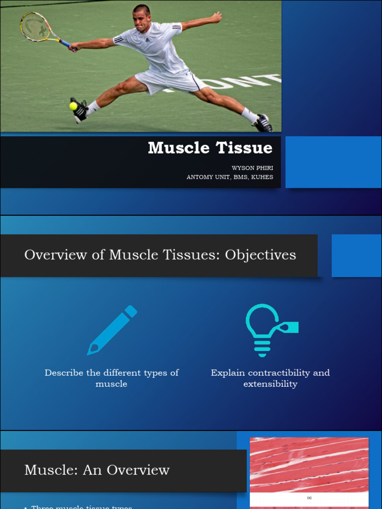 Muscular System-Nursing Group | PDF | Muscle Contraction | Foot