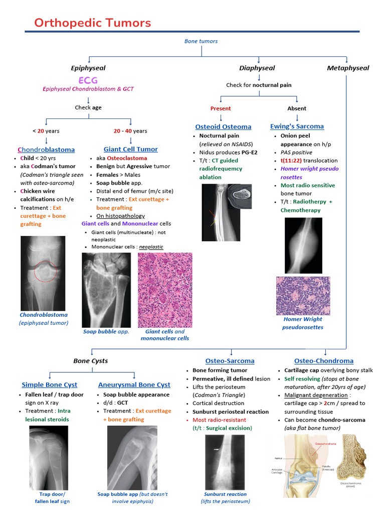 BTR Notes_1 (2) | PDF | Bone | Benign Tumor