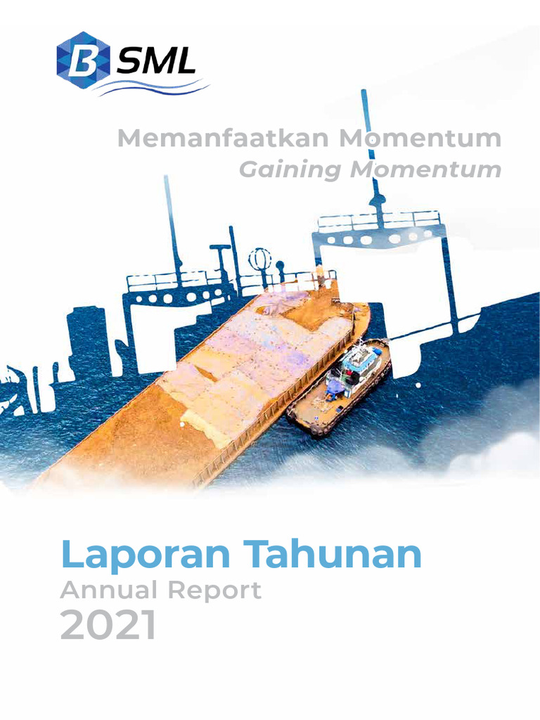 BSML Ar 2021 | PDF | Equity (Finance) | Economies