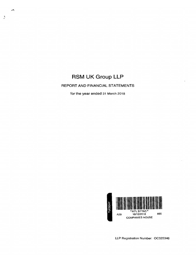 RSM Full Accounts 2018 | PDF