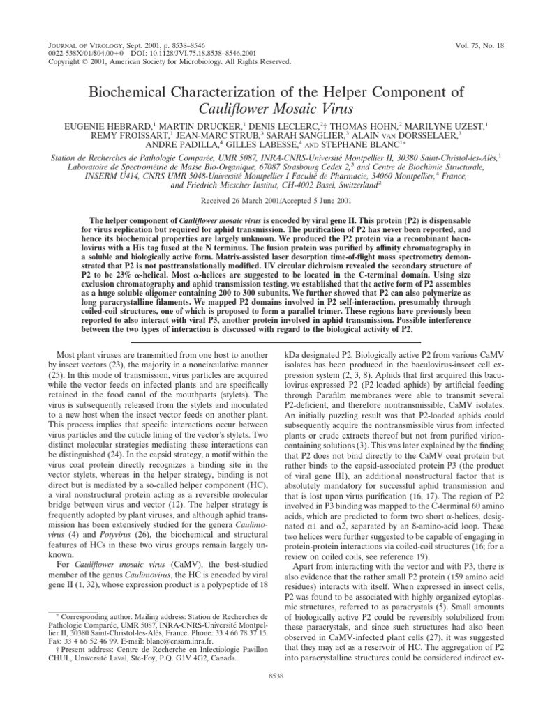 Hebrard Et Al 2001 Biochemical Characterization of The Helper Component ...