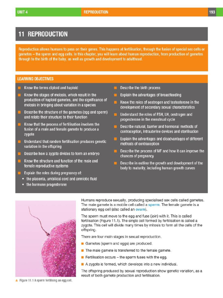 Reproduction | PDF