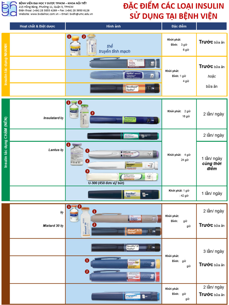 Các Loại Insulin BVDHYD | PDF