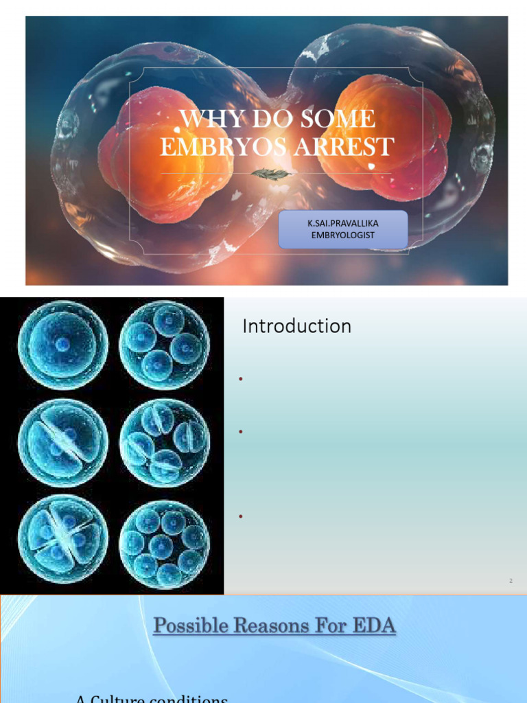 Understanding and Preventing Embryo Developmental Arrest in IVF ...