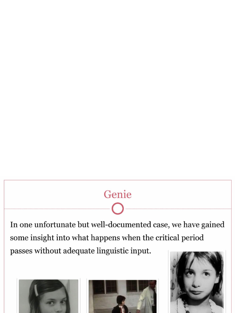 Chapter 13 - First Language Acquisition | PDF