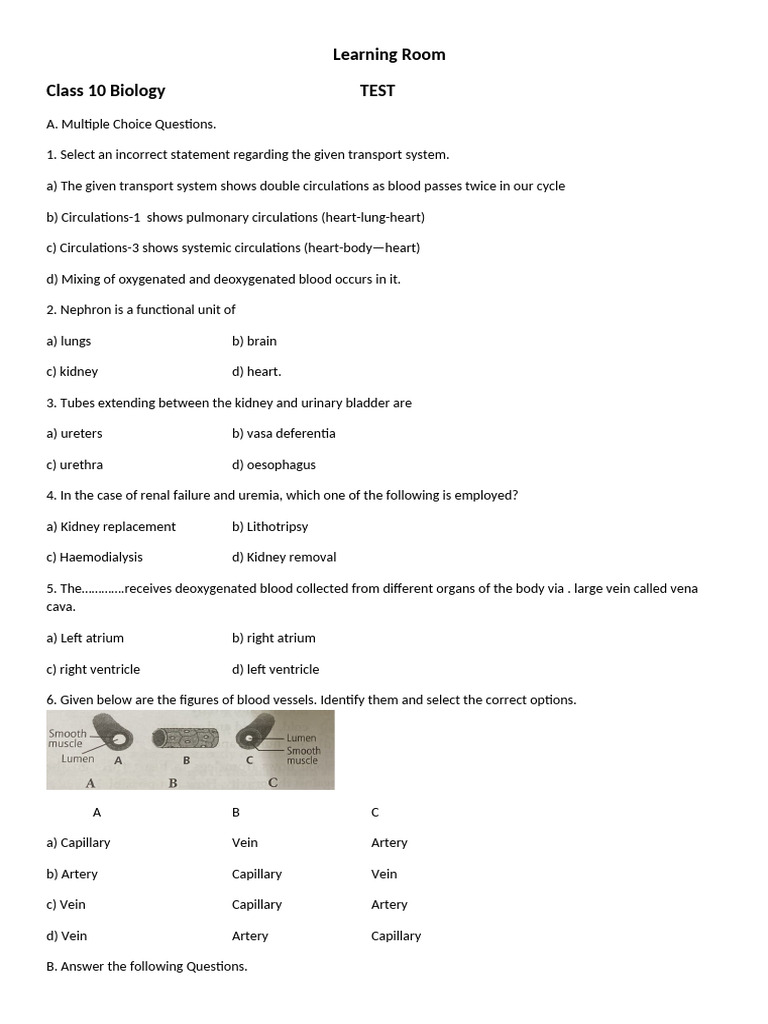 Life Process Test Cl 10 | PDF