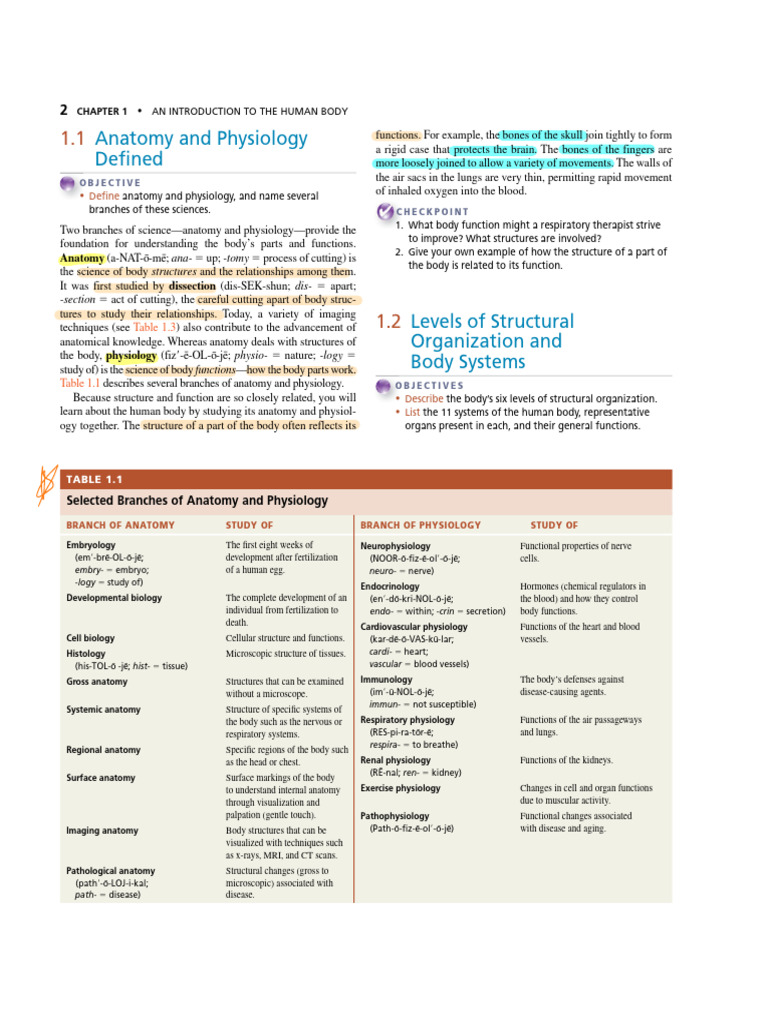Lesson 2 - Orientation To The Human Body | PDF | Human Body ...