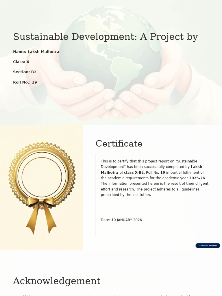 Sustainable Development A Project by | PDF | Sustainability ...