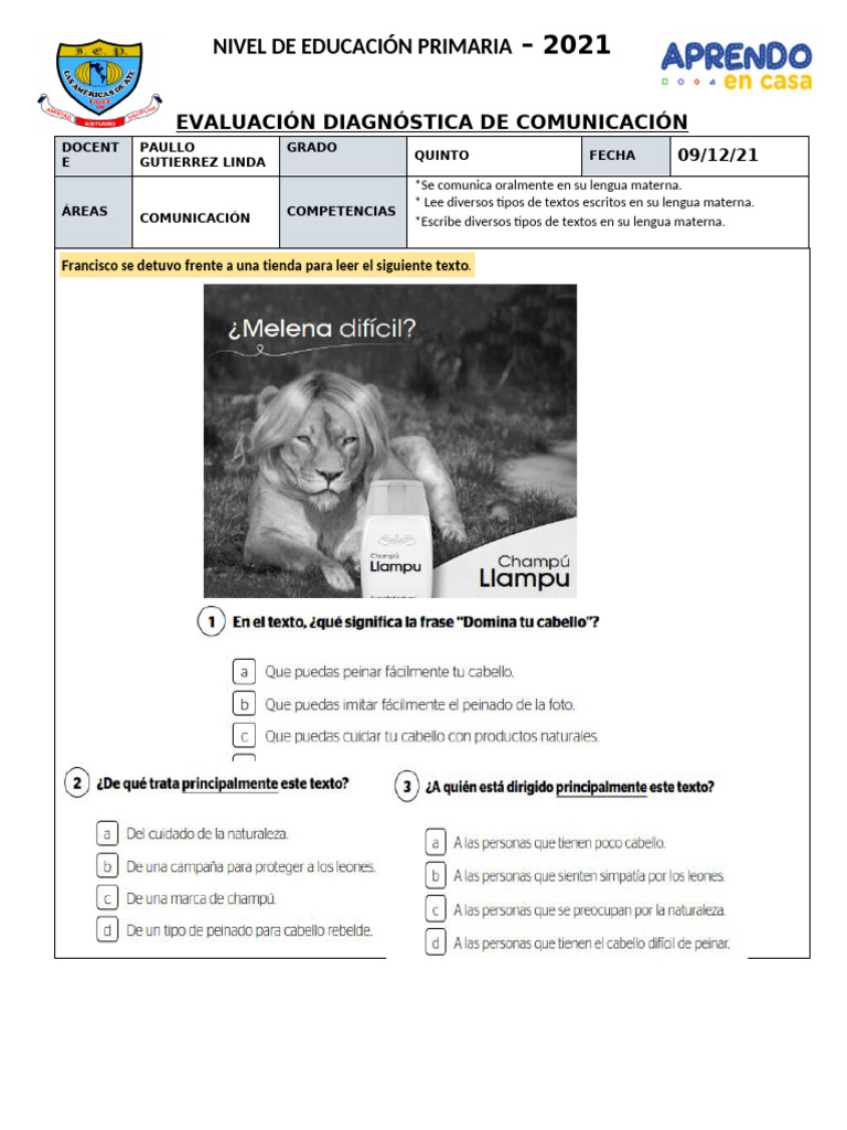 Evaluación Diagnóstica de Comunicación - Quinto Grado | PDF