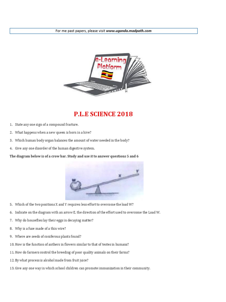 2018 PLE Science Past Paper | PDF | Fertilisation