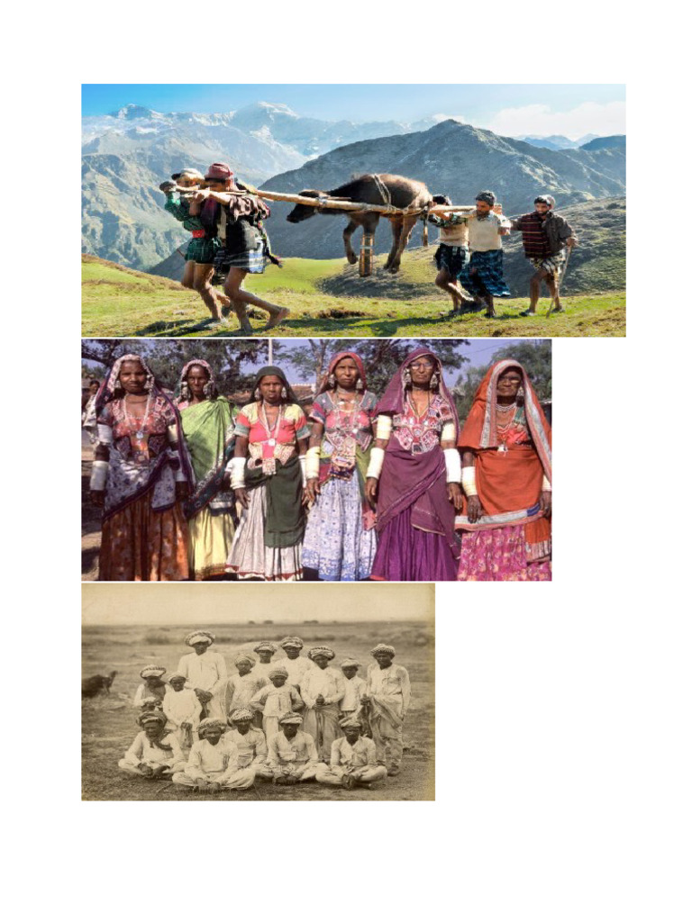 Tribes | PDF