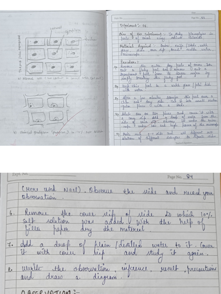 Experiment No 5 | PDF