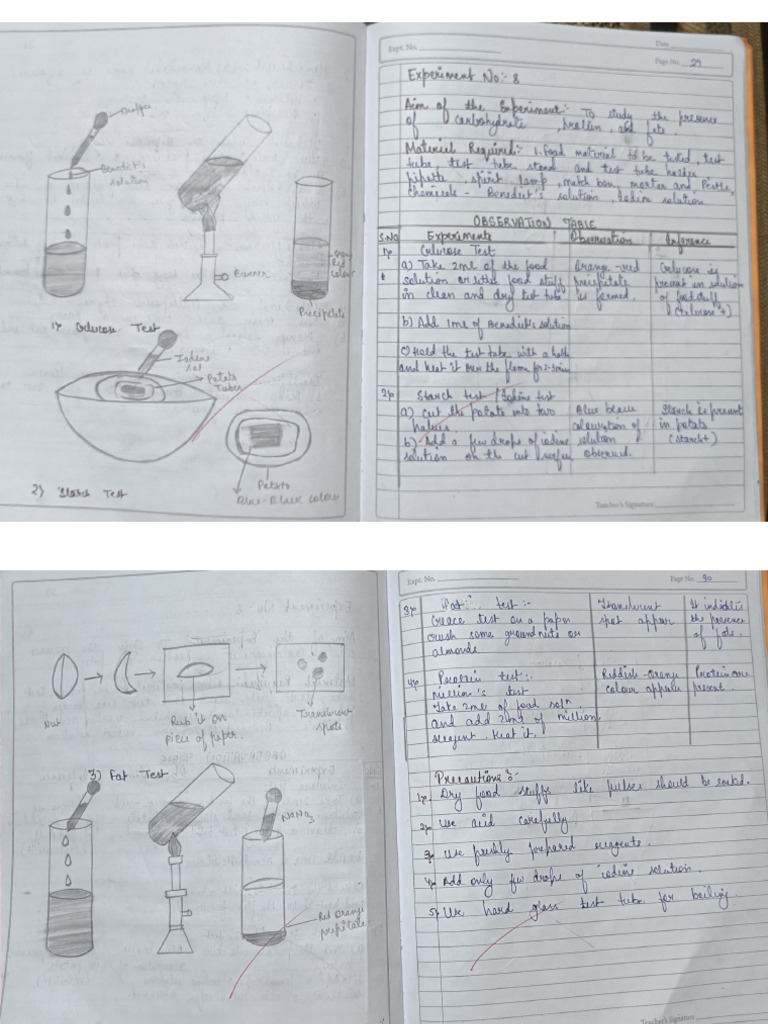 Experiment No 8 | PDF