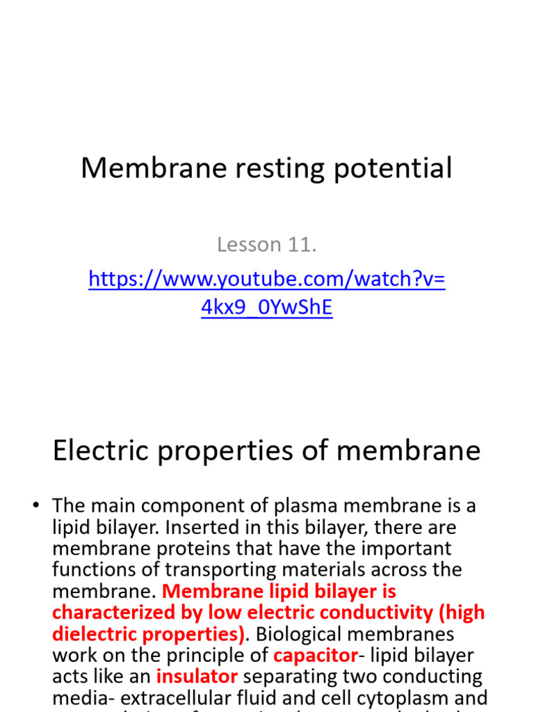 Lecture #. Membrane Resting Potential | PDF | Capacitor | Capacitance