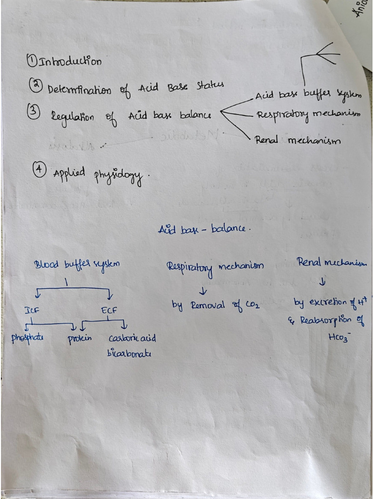 Acid Base Balance | PDF