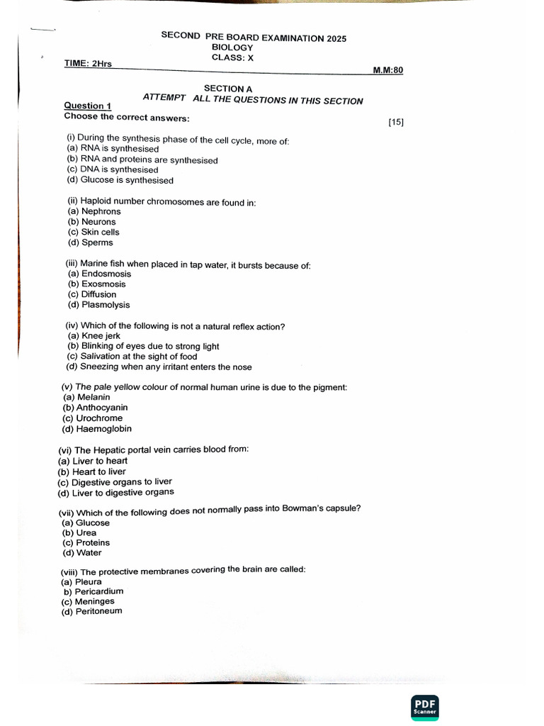 ACE Scanner - 2026 - 01 - 14 | PDF