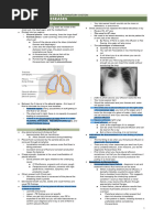 Respiratory System Chest Assessment Guide | PDF | Lung | Respiratory System