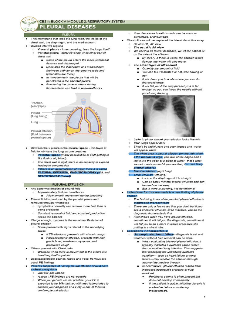 Lec 2 - Pleural Diseases | PDF | Lung | Medical Specialties