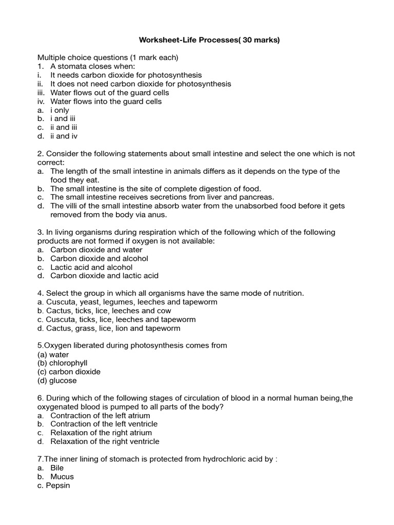Worksheet Life Processes | PDF | Digestion | Small Intestine