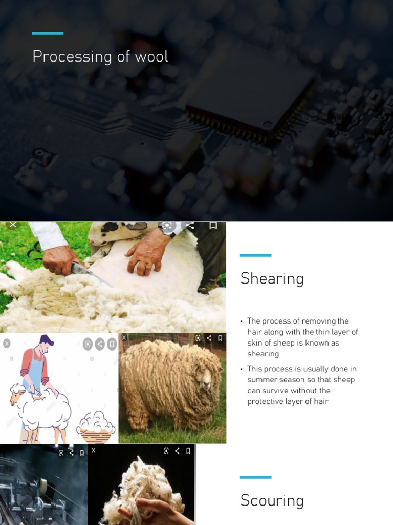 Processing of Wool | PDF