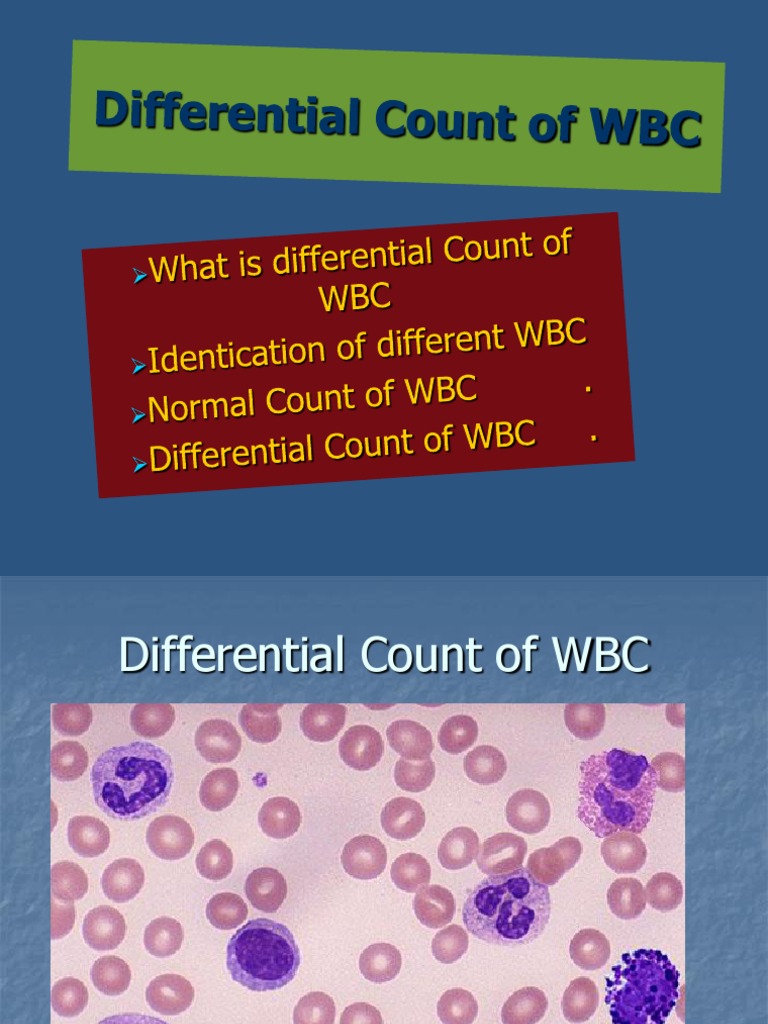 Differential Count of WBC PDF