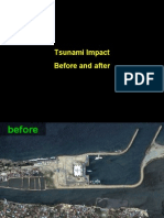 Tsunami Before & After