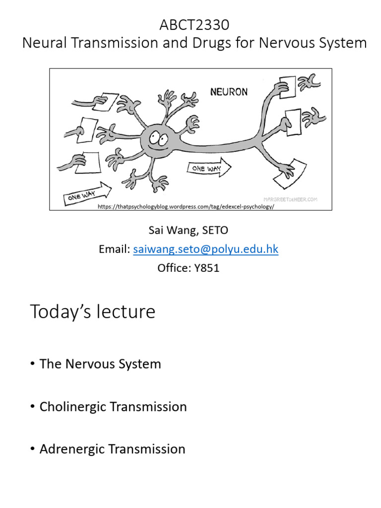 Abct2330 Lecture 4 PDF | PDF | Acetylcholine | Nervous System