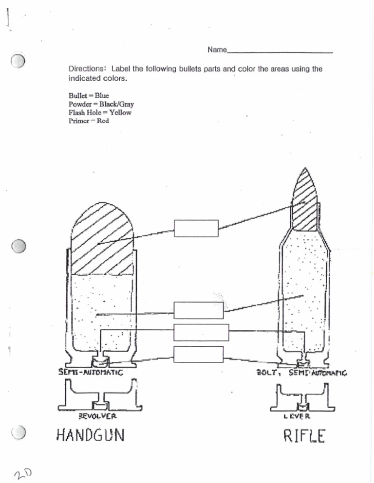 Label The Parts of A Bullet | PDF