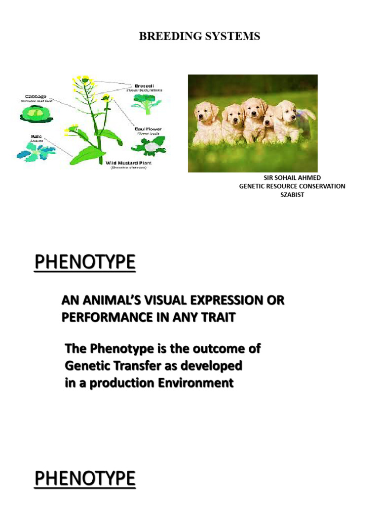 Breeding System | PDF