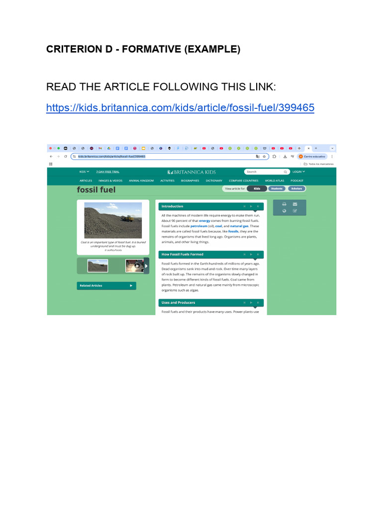 Criterion D - Formative (Example) | PDF