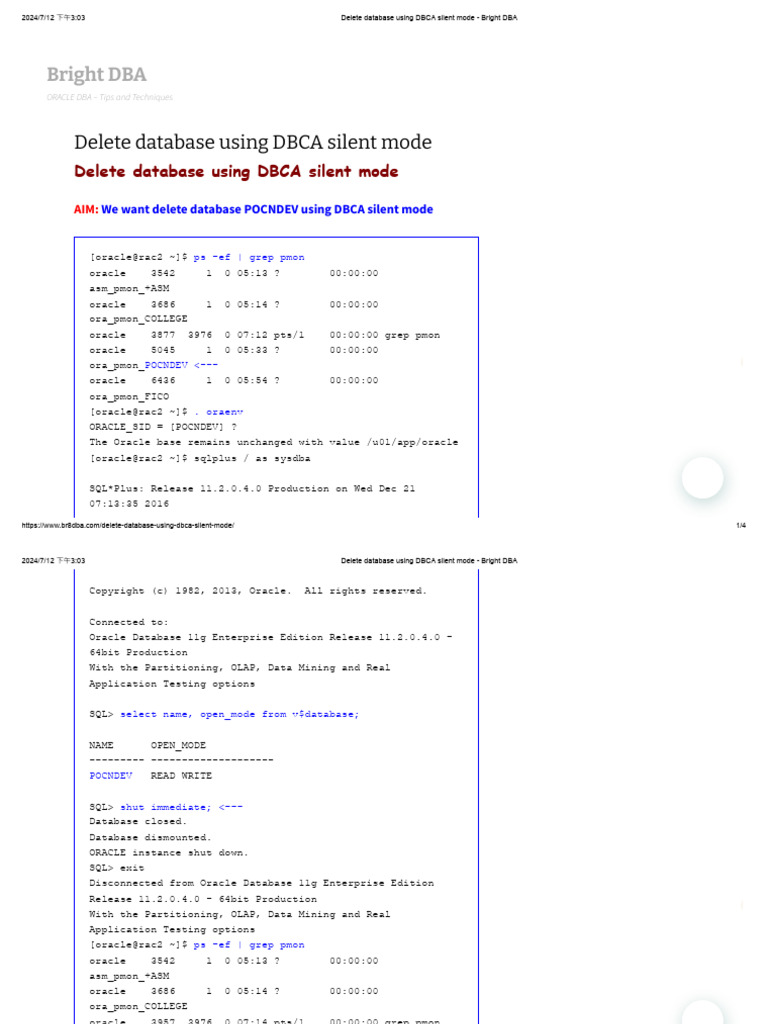 Delete Database Using DBCA Silent Mode - Bright DBA | PDF | Databases ...