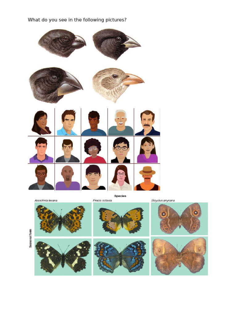 Variation | PDF
