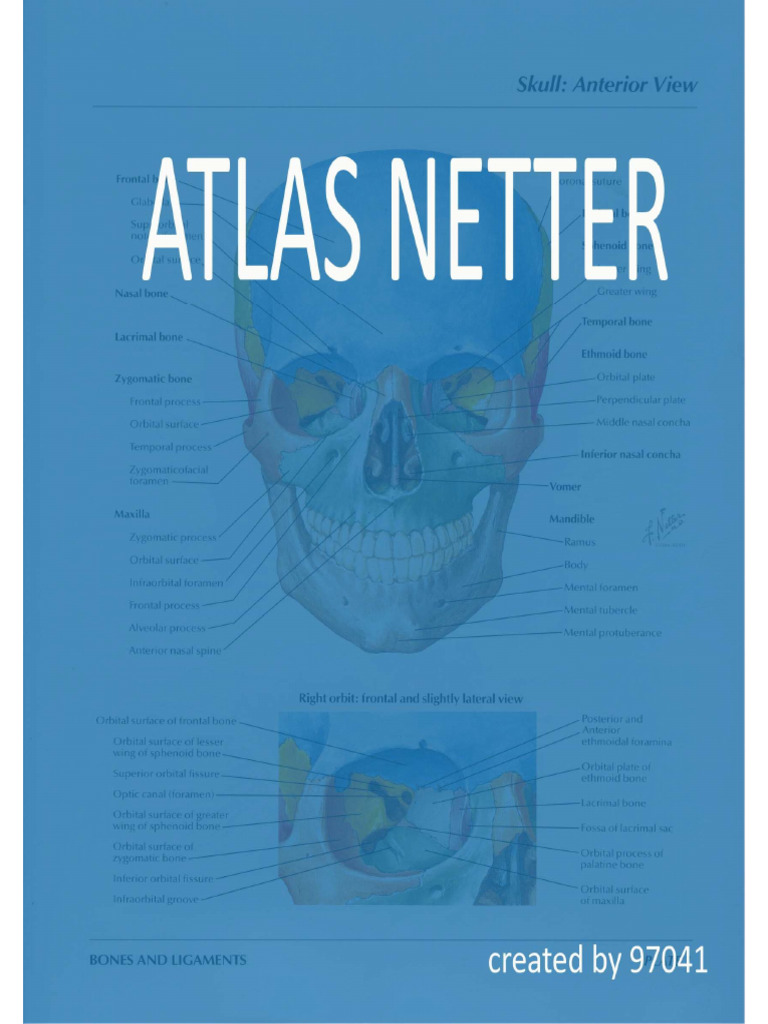 Atlas Netter Lengkap | PDF